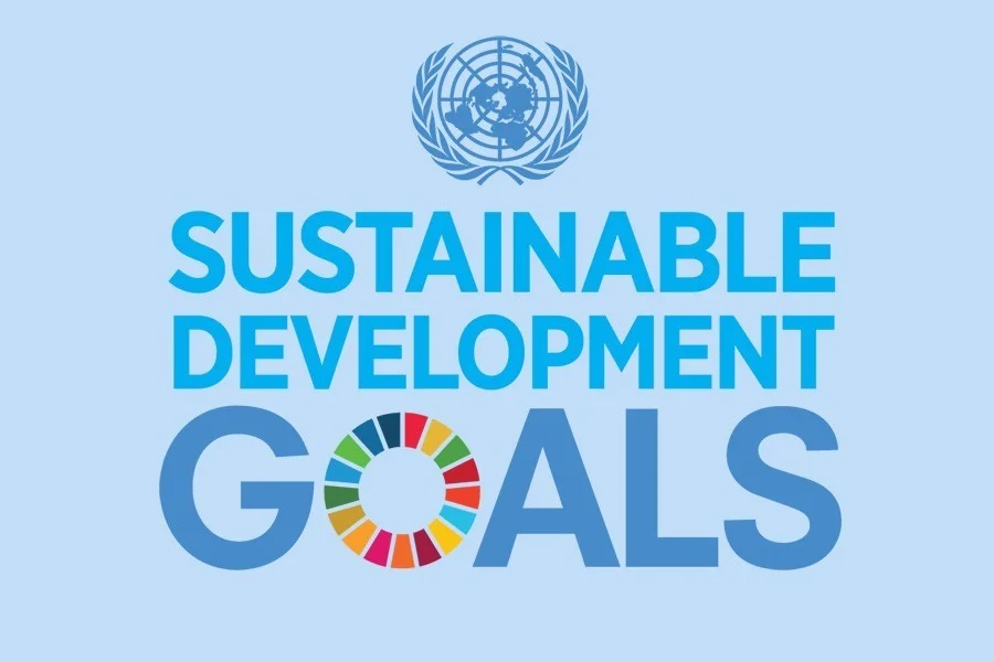 How the EPI Score Can Help to Achieve SDGs