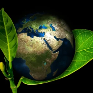 earth-405096_1920