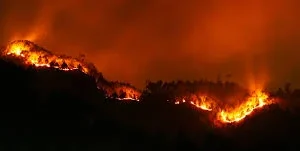 A blaze in the chilgoza forest of Sherani District in the Balochistan province of Pakistan started turning into a large scale wild fire.