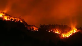 A blaze in the chilgoza forest of Sherani District in the Balochistan province of Pakistan started turning into a large scale wild fire.