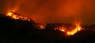 A blaze in the chilgoza forest of Sherani District in the Balochistan province of Pakistan started turning into a large scale wild fire.