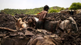 Stakeholders Discuss Utilizing Thar Coal