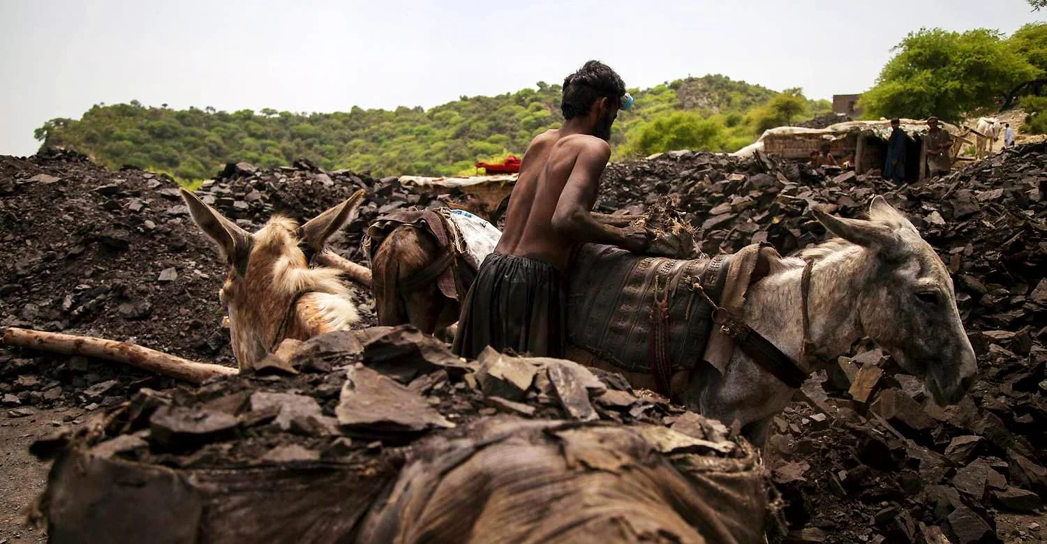 Stakeholders Discuss Utilizing Thar Coal