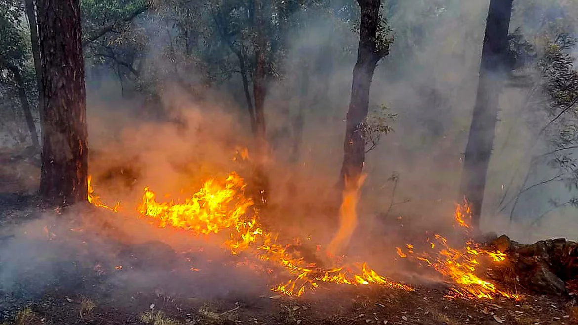 Photo Credits: https://www.deccanherald.com/india/jammu-and-kashmir/fire-engulfs-forest-area-in-jammu-and-kashmirs-udhampur-3029964