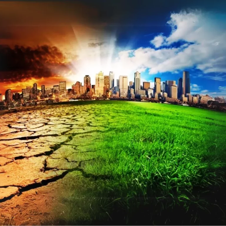 Climate Change & Food Security in South Asia