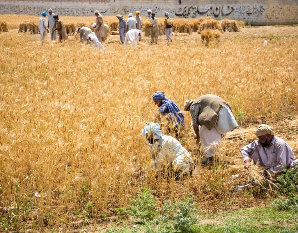 Farmers from Punjab Pakistan [dbimages / Alamy Stock Photo]
