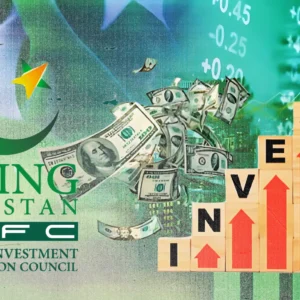 Pakistan's SIFC celebrates one year with early FDI wins, but can it overcome challenges to unlock lasting economic growth? [Image via SAT Creatives].