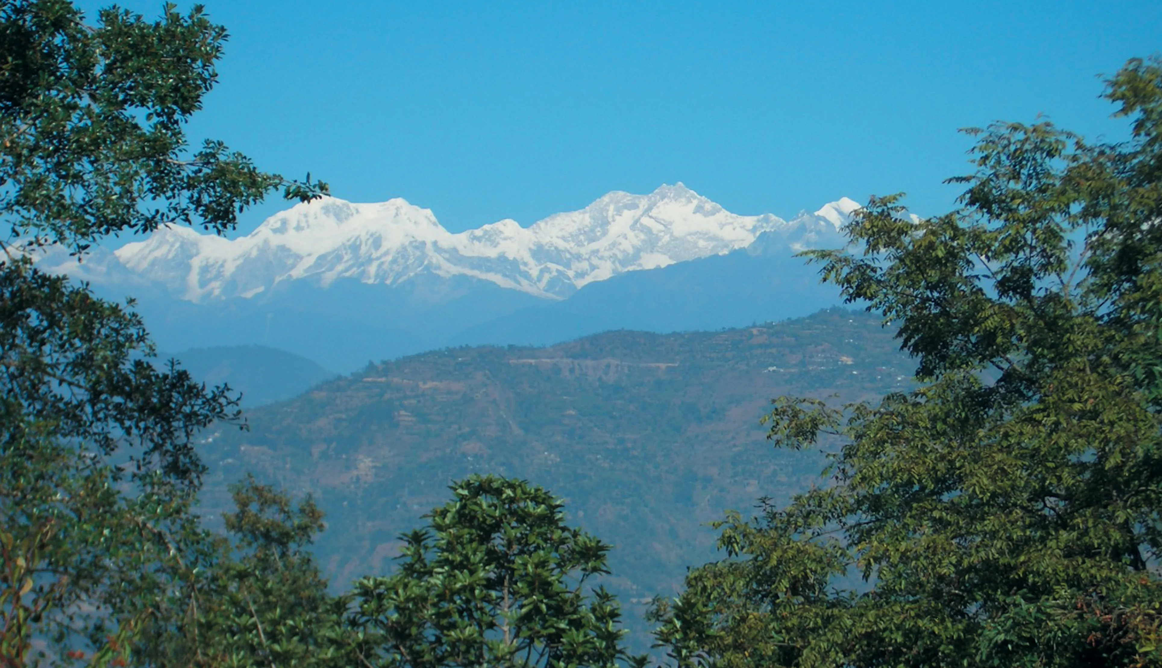 Mountain view from Glenburn Estate [Image via Travel Journalist, Subhasish Chakraborty].