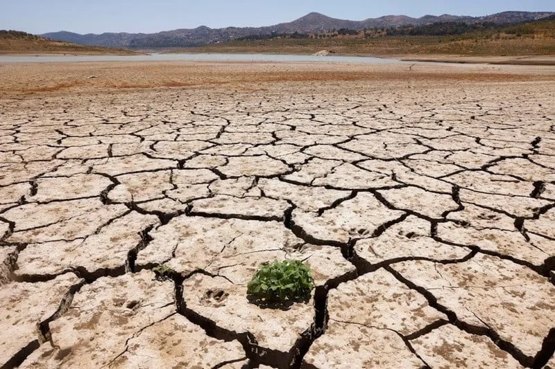 Pakistan faces a growing risk of drought with a 40% rainfall deficit, threatening water resources and worsening drought conditions. [Image via Reuters]