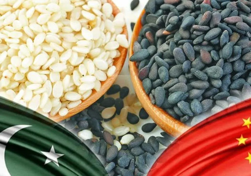 Pakistan’s sesame seed exports to China reached $226M in 2024, driven by rising demand and strong trade growth. [Image via Economy]