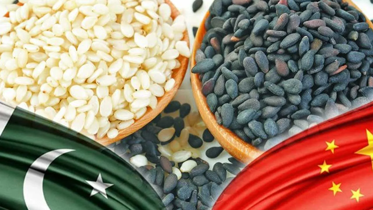 Pakistan’s sesame seed exports to China reached $226M in 2024, driven by rising demand and strong trade growth. [Image via Economy]