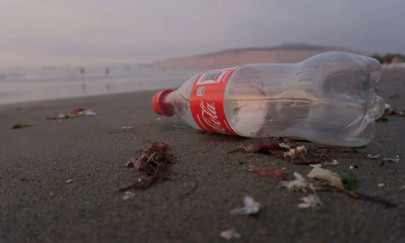 Coca-Cola's plastic waste may hit 602m kg yearly by 2030. Oceana urges a shift to reusable packaging to cut pollution. [Photograph: Maria Mendiola/Surfers Against Sewage/PA]