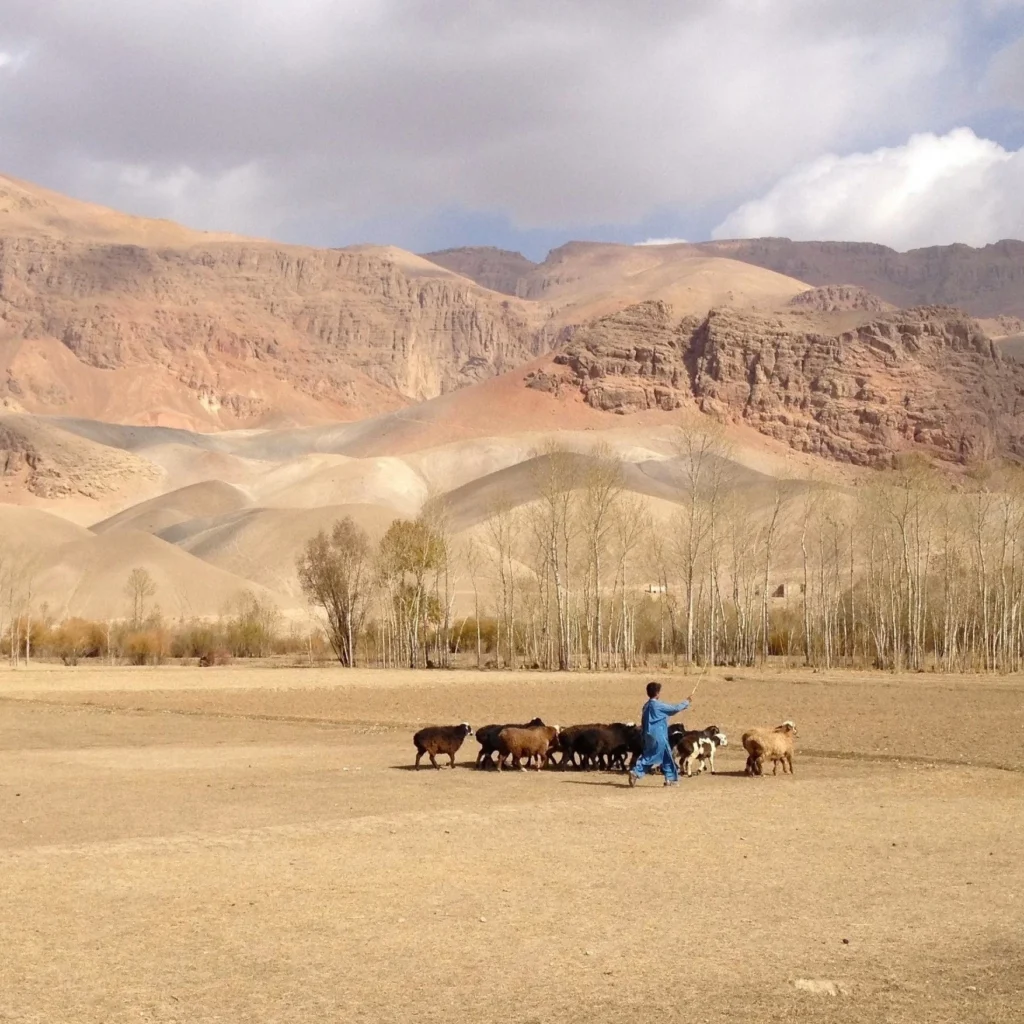 Afghanistan : A Geopolitical Cauldron and the Rise of Proxy Warfare