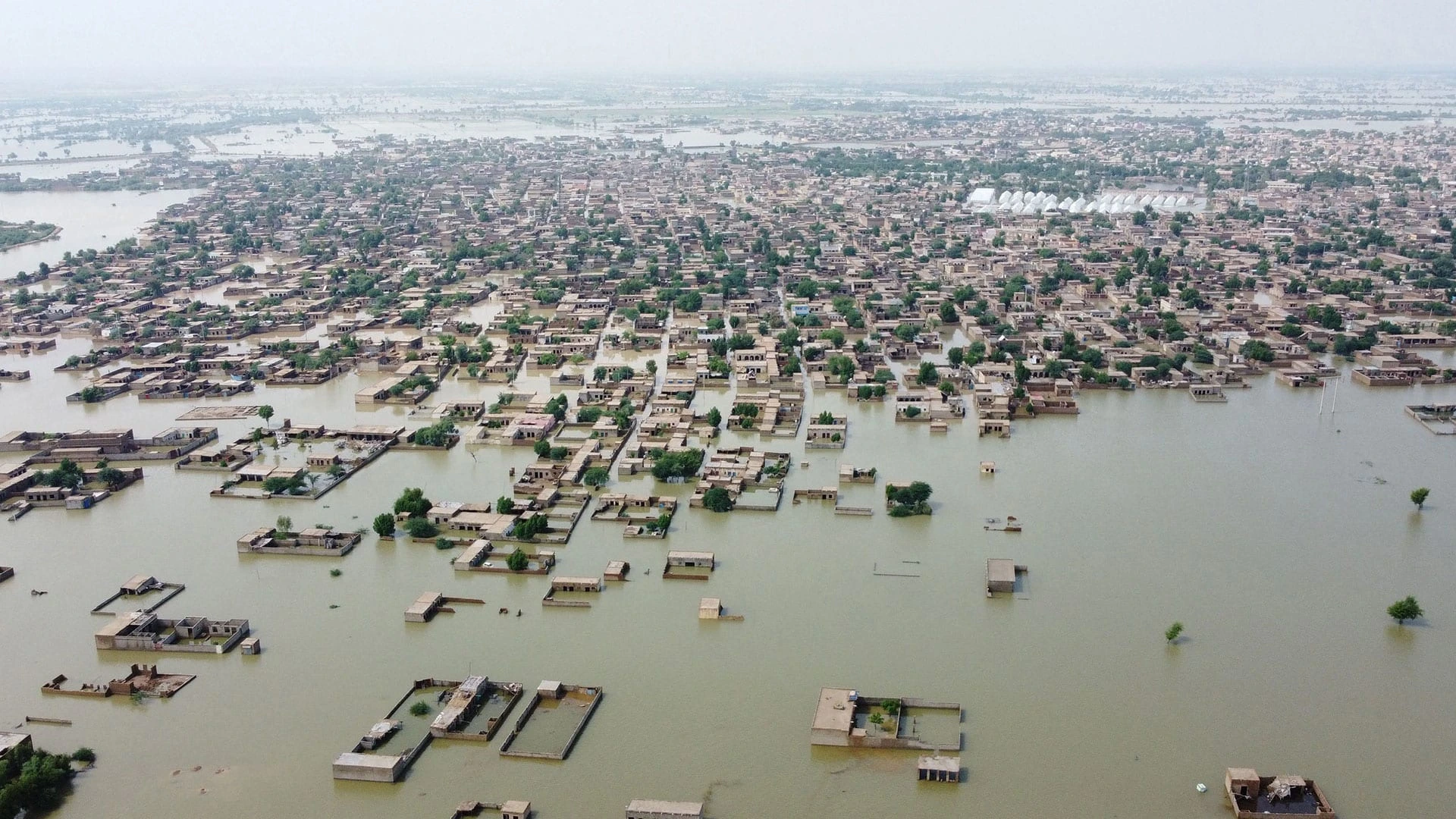 From Disaster to Resilience: Why Pakistan Needs Dams and Flood Canals