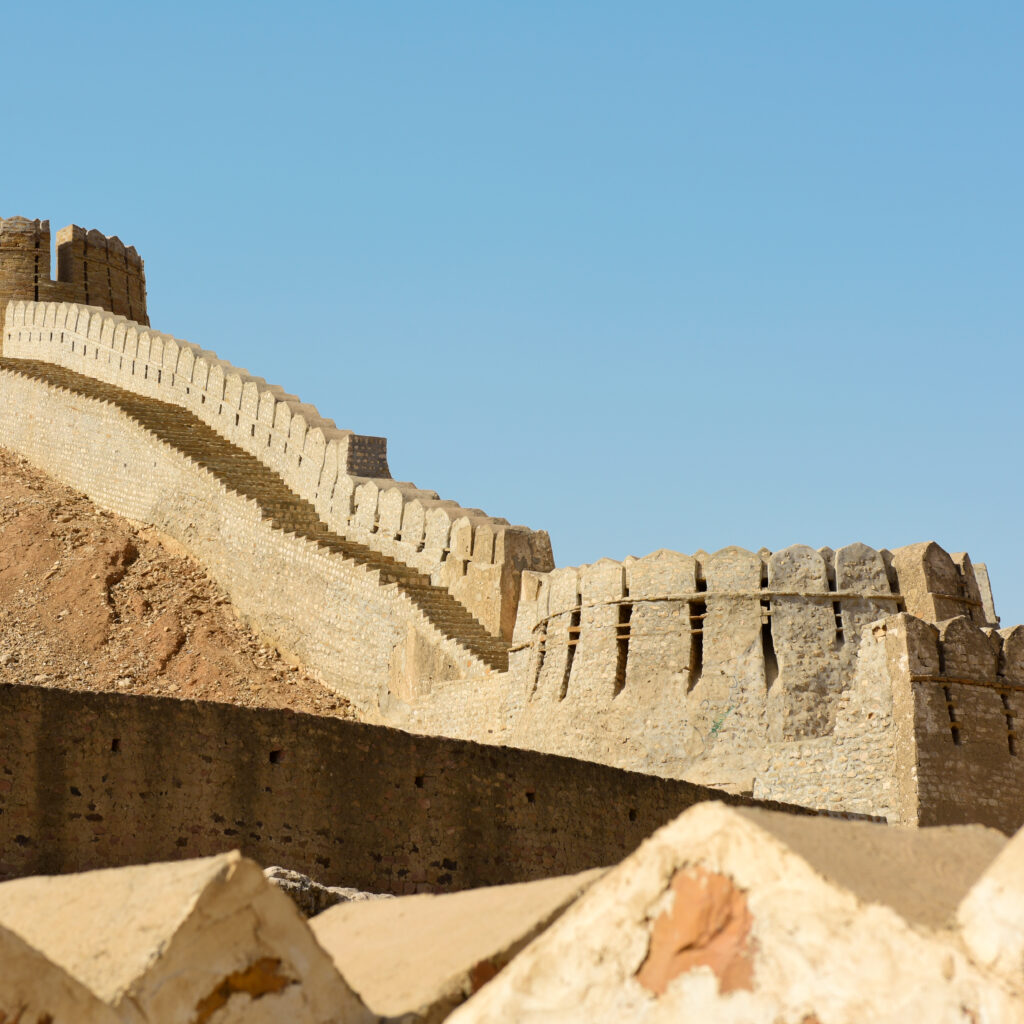 Neglected Languages & Overlooked Identities in Sindh