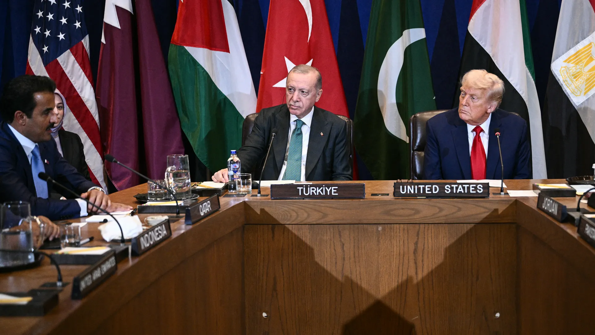 Anatomy of a Diplomatic Failure: The 20-Point Gaza Plan