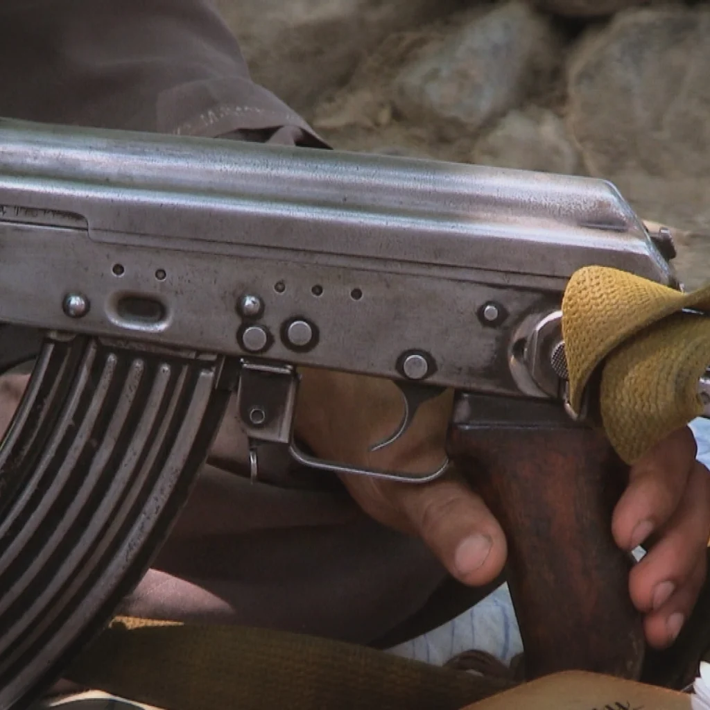 The Terrorist Ecosystem