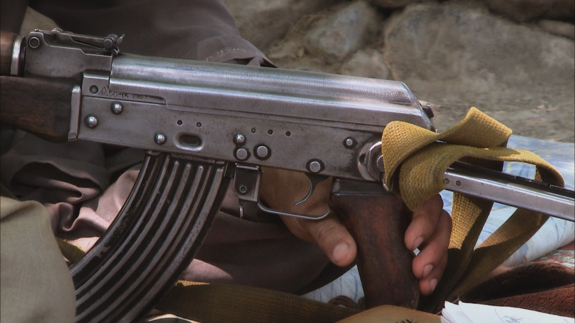 The Terrorist Ecosystem