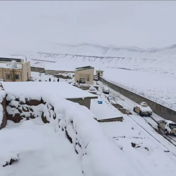 Herat tragedy claims 30 lives, exposing Afghanistan’s governance failures, unsafe migration, and escalating humanitarian crisis.