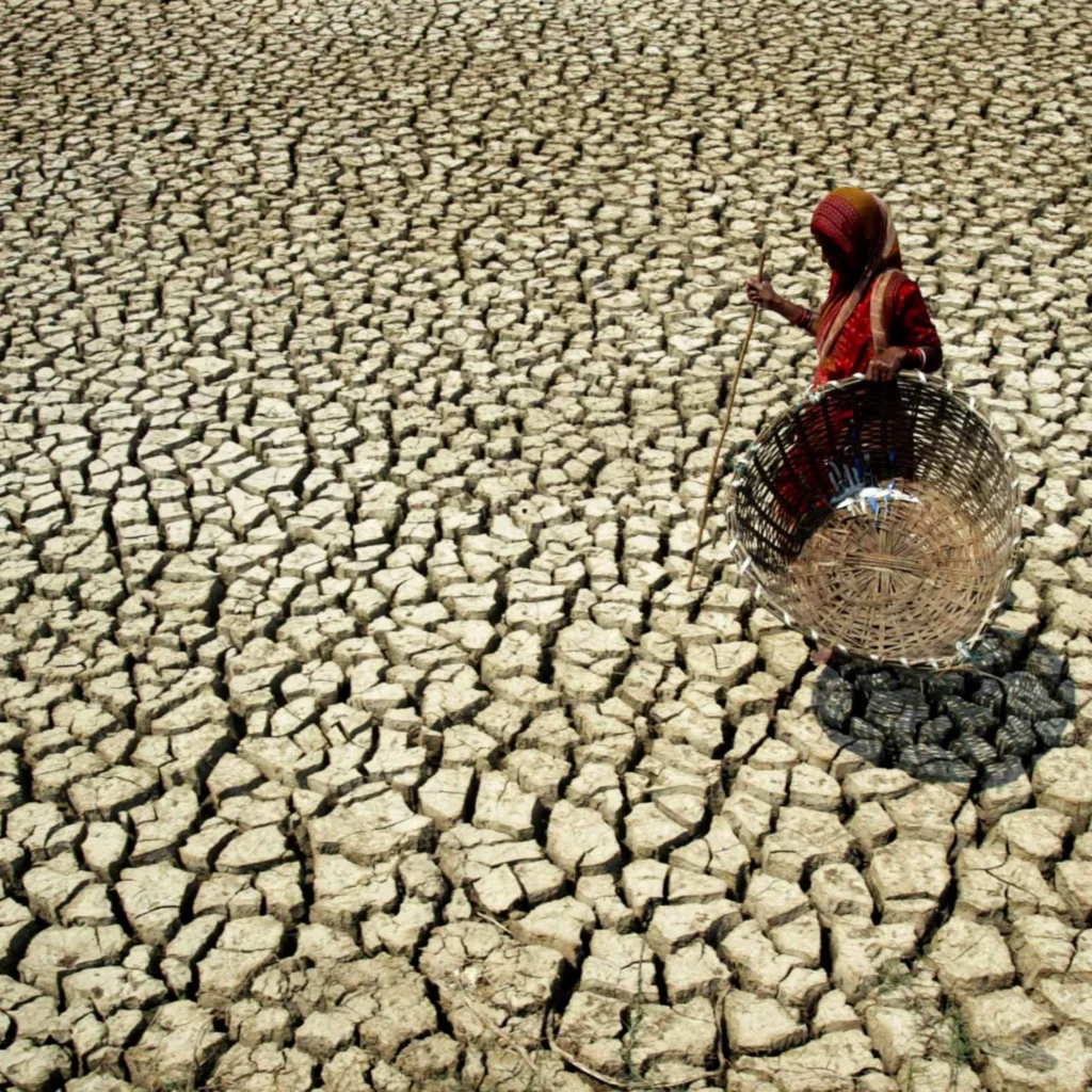 No United Front: How Regional Failure Blocks Climate Action in South Asia