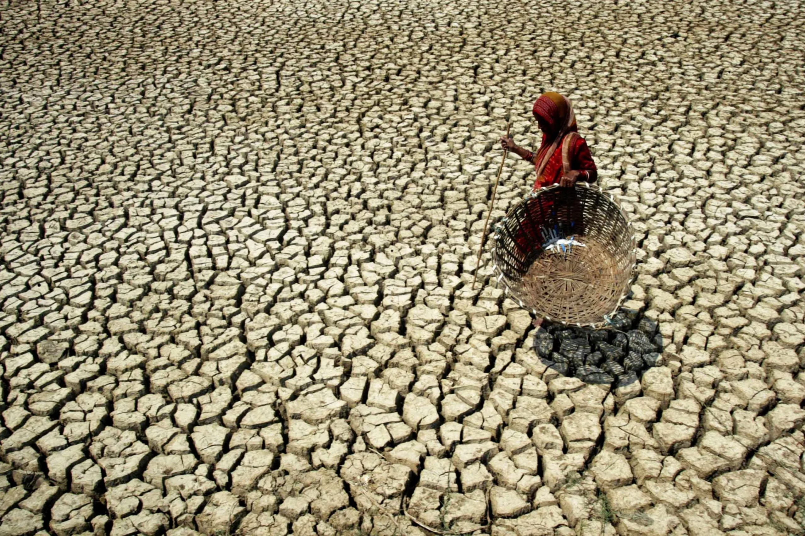 No United Front: How Regional Failure Blocks Climate Action in South Asia