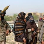 A Fugitive Insurgency