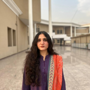 Picture of Faryal Gohar Batool