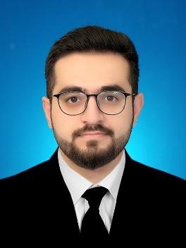 Picture of Musavir Hameed