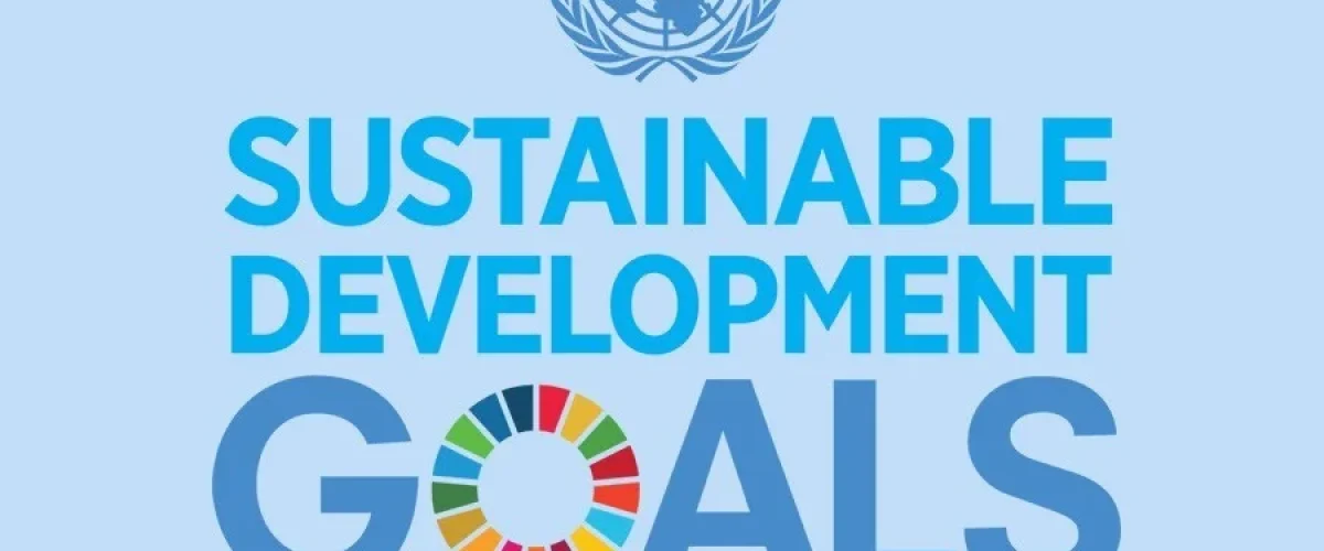How the EPI Score Can Help to Achieve SDGs
